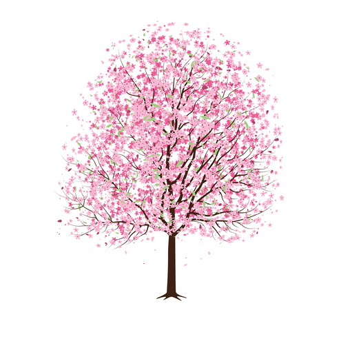Vector - Pink Cherry Blossom Tree 02 by DragonArt